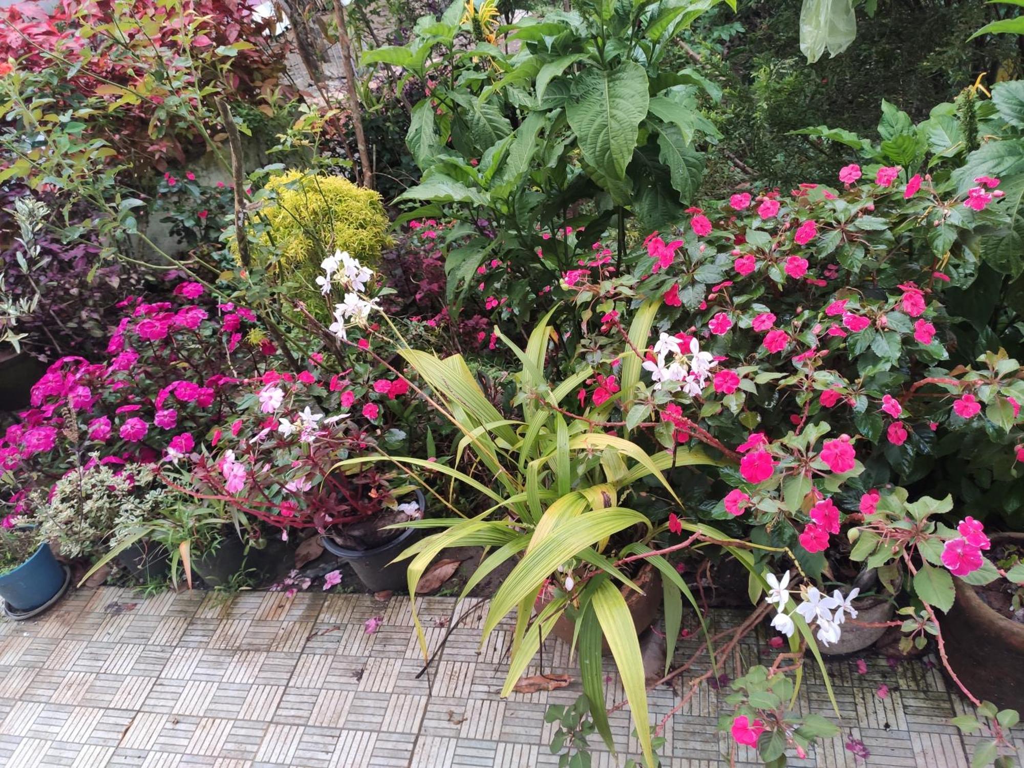 Soly'S Villa Homestay Munnar Exterior photo